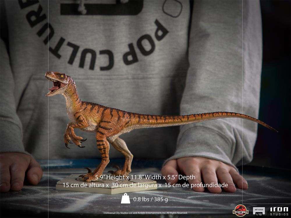 18966621