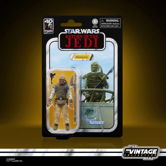 39702524
