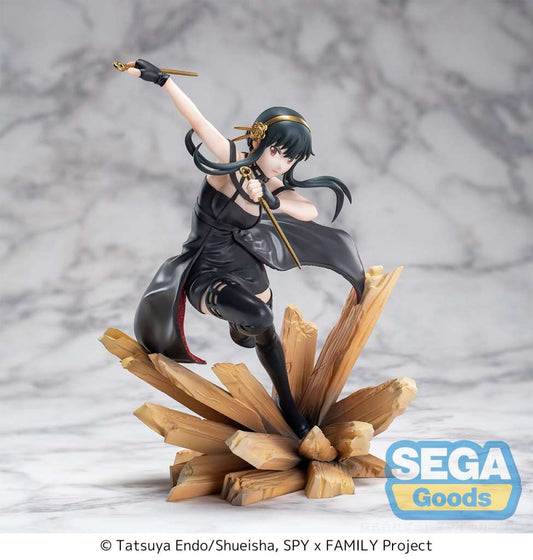 39554789