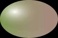 39855864