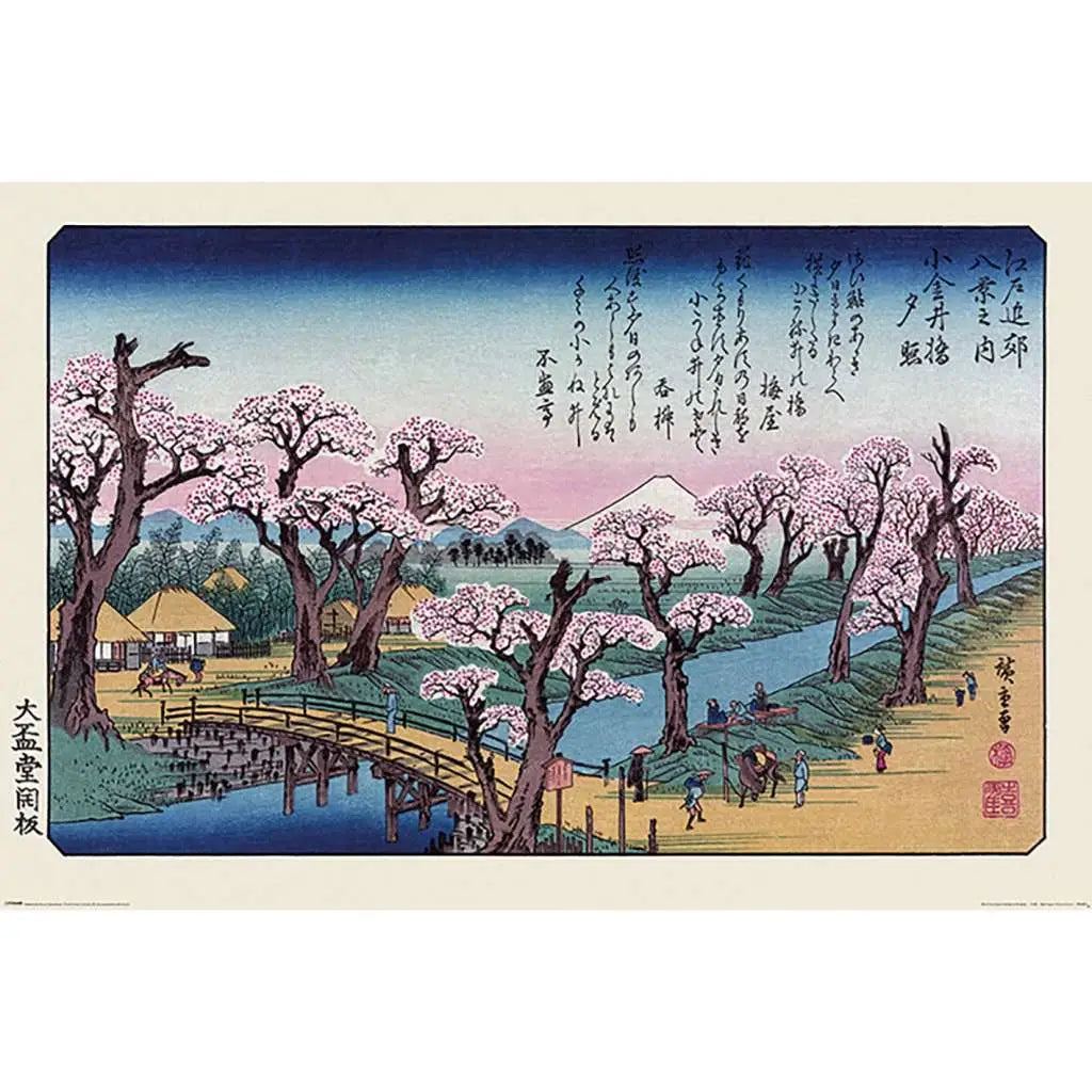 40908525