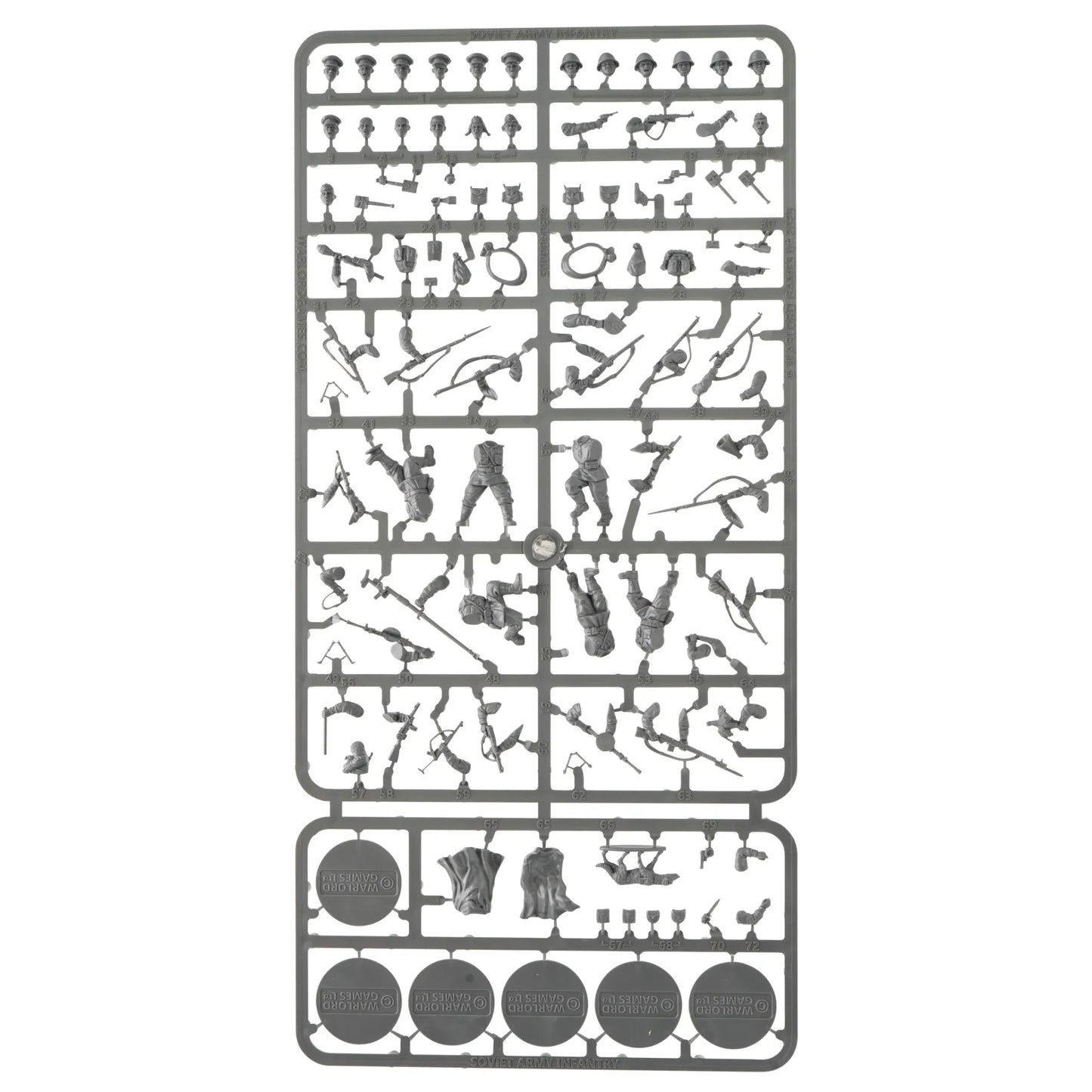 45030231