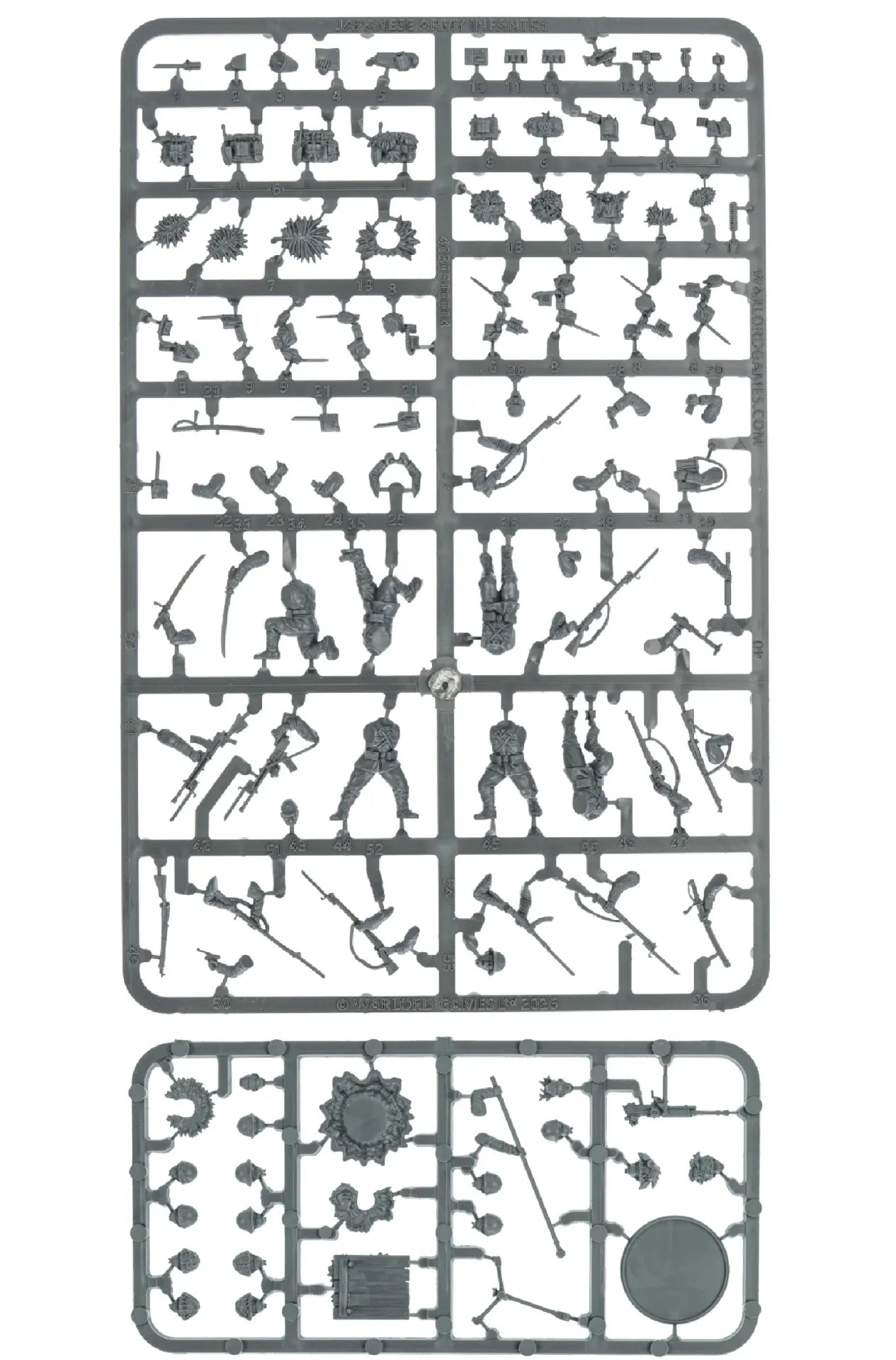 45043477
