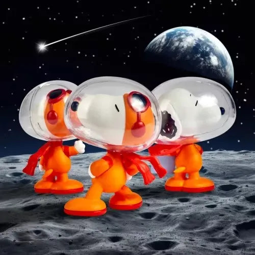 45650307