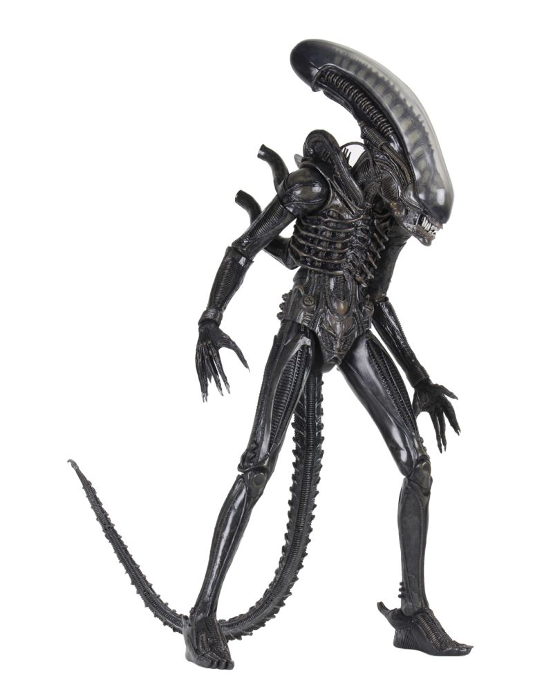 47035800