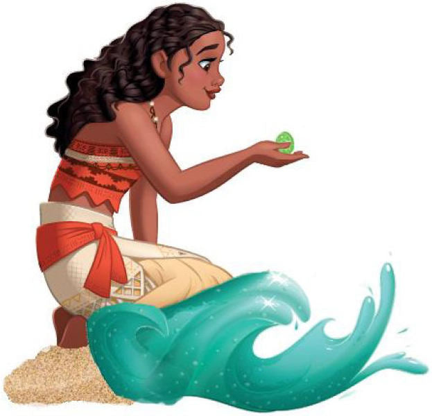 48293164