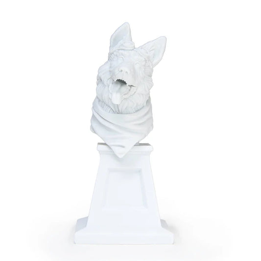 49590257