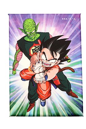 50202566