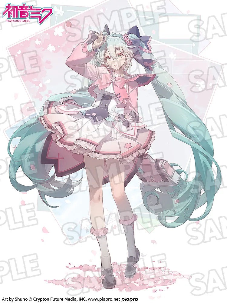 50391458
