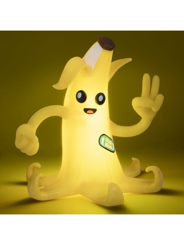 51319545