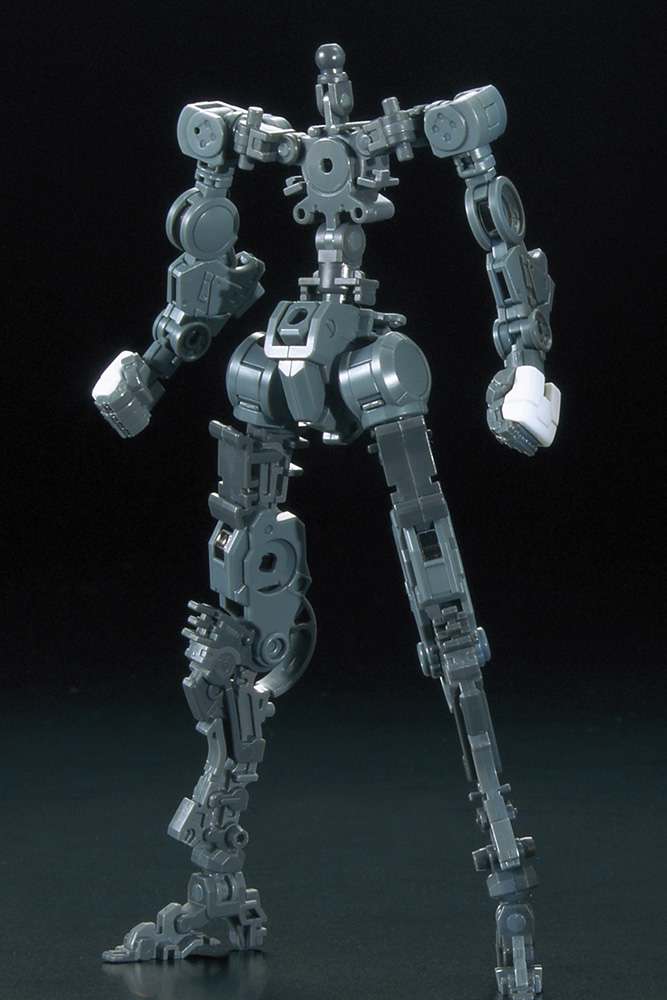 39267019