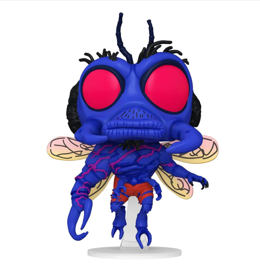 48275952