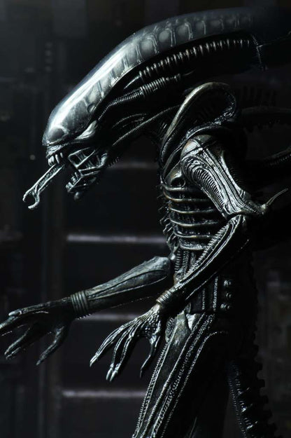 39261468