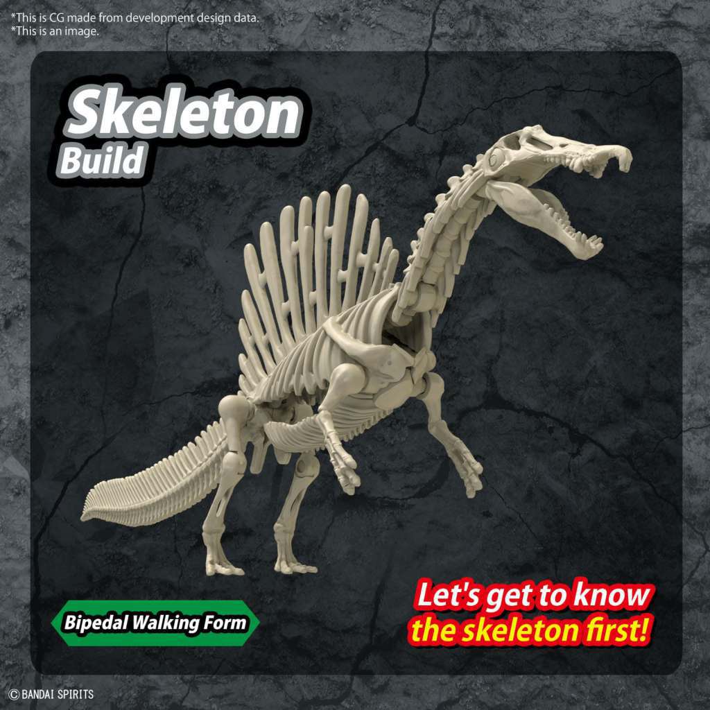 41255550