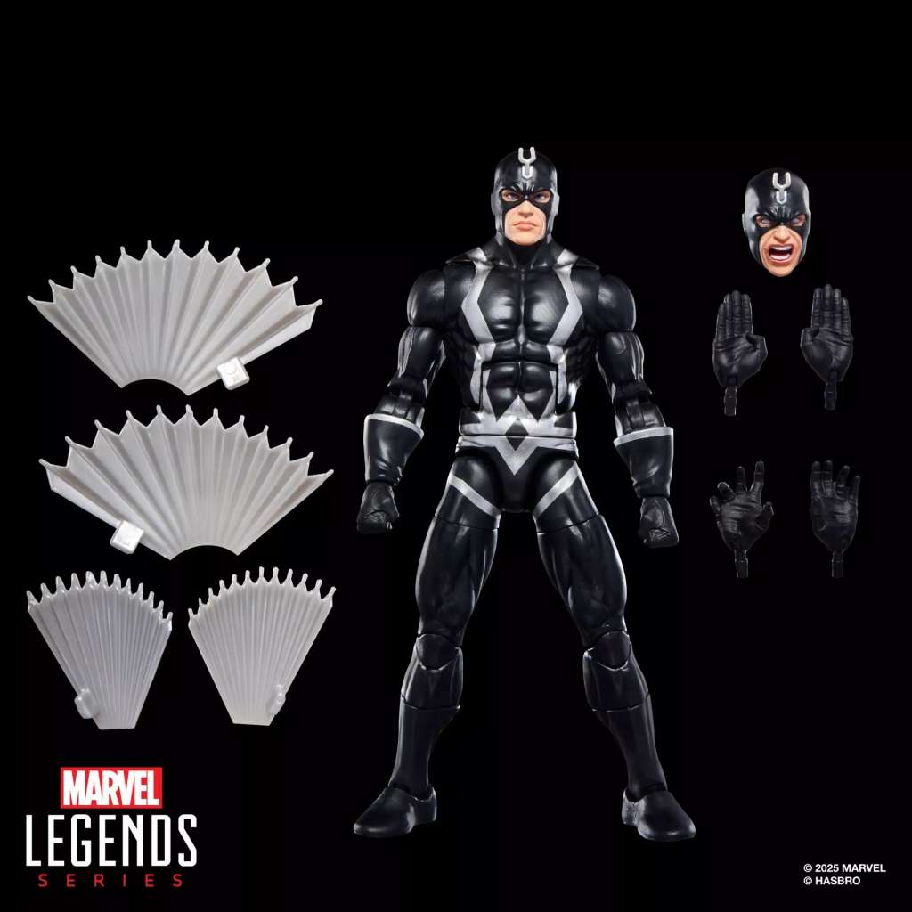 39240313