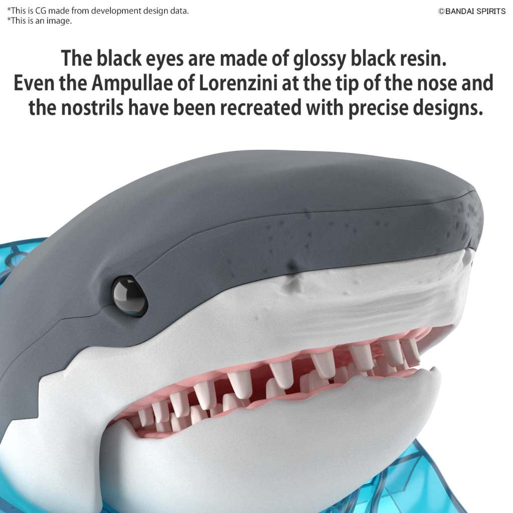 39555531