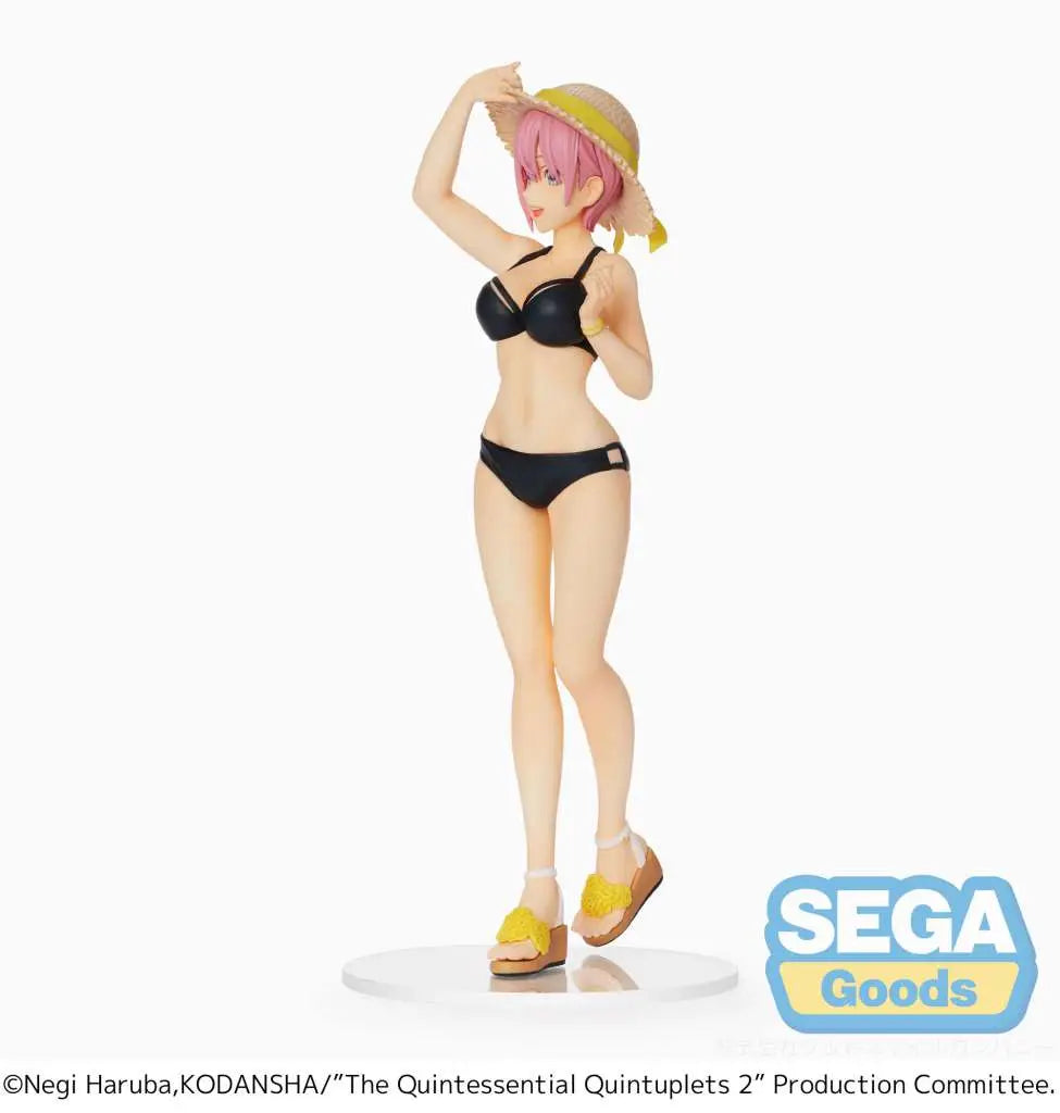 39566183