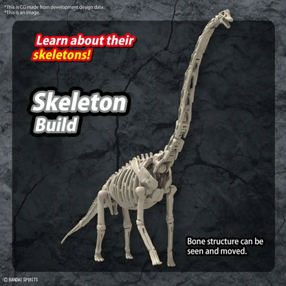 41250967