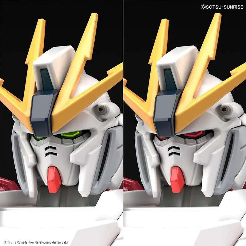 41250010