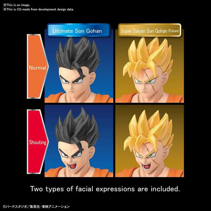 39238325