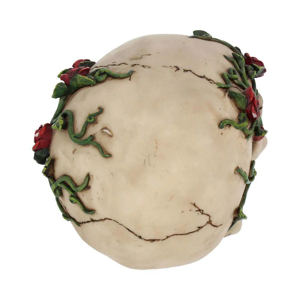 39738516