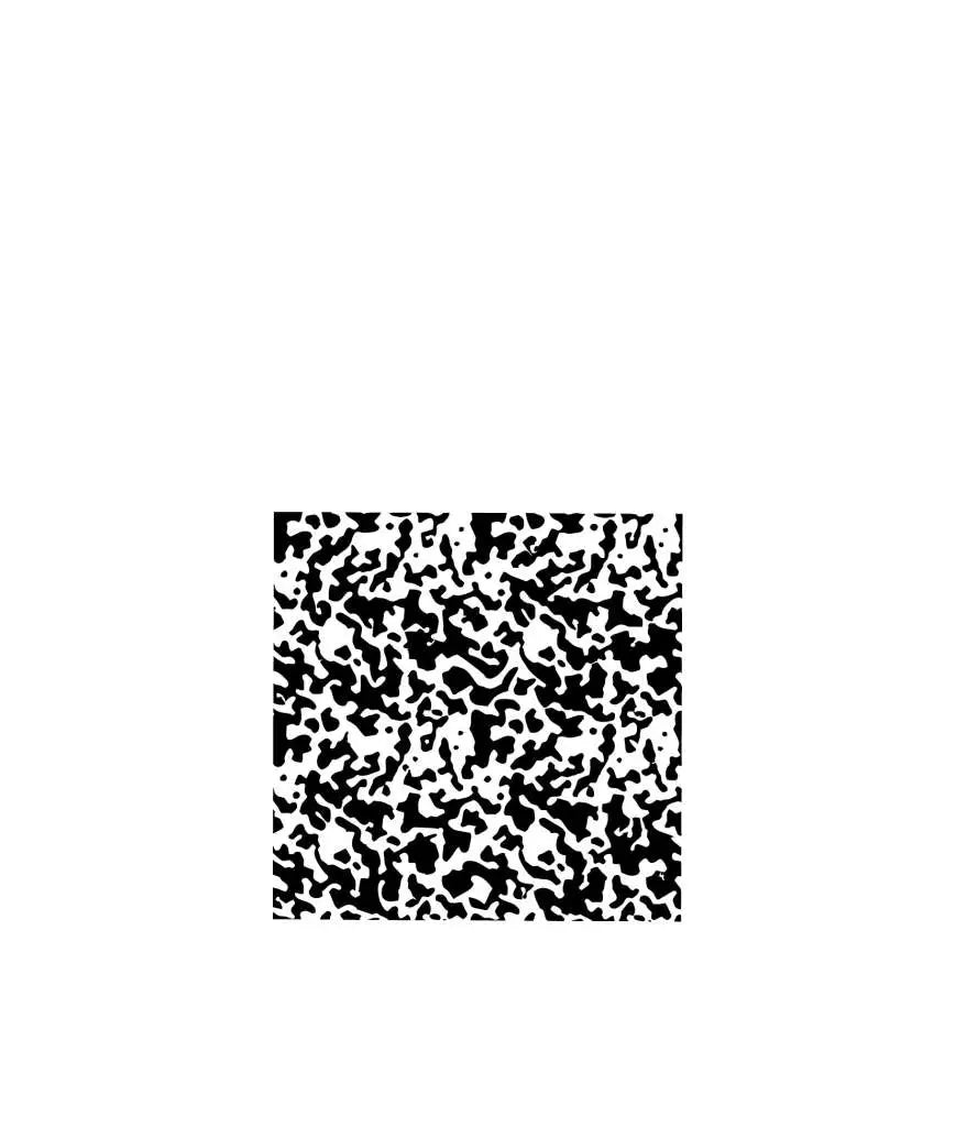 39855891