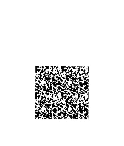 39855891