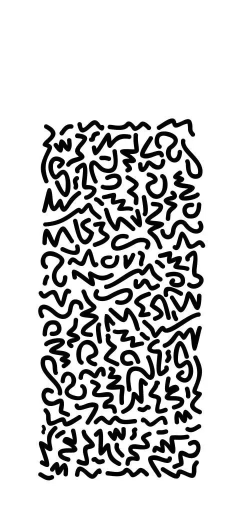 39856216