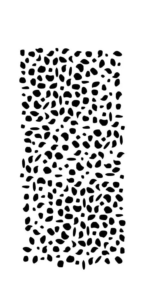 39856269