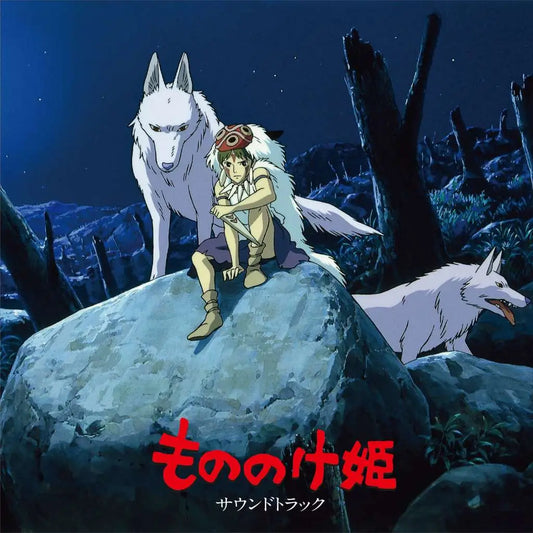 40556876