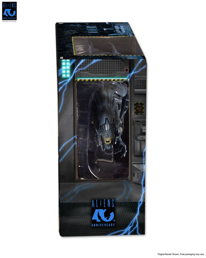41455690