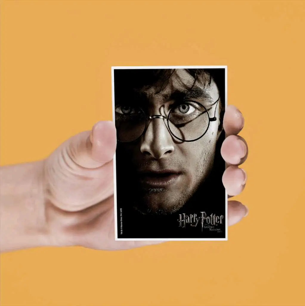 44113916