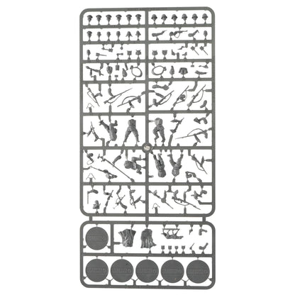 45030231