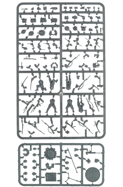 45043477