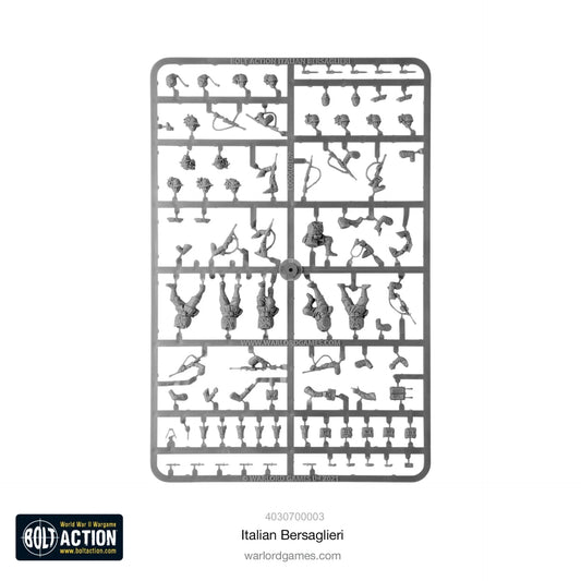 45043450