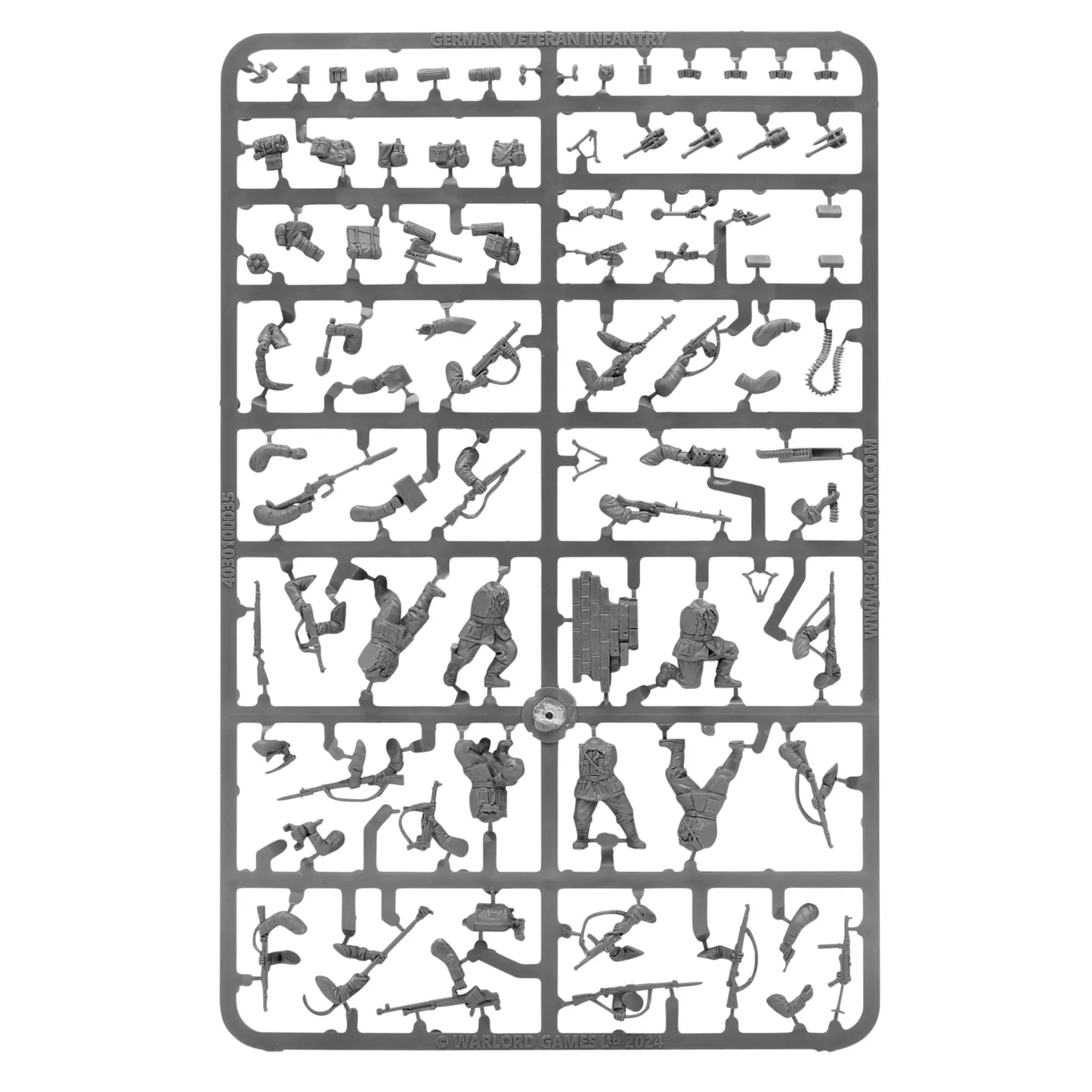 45043469