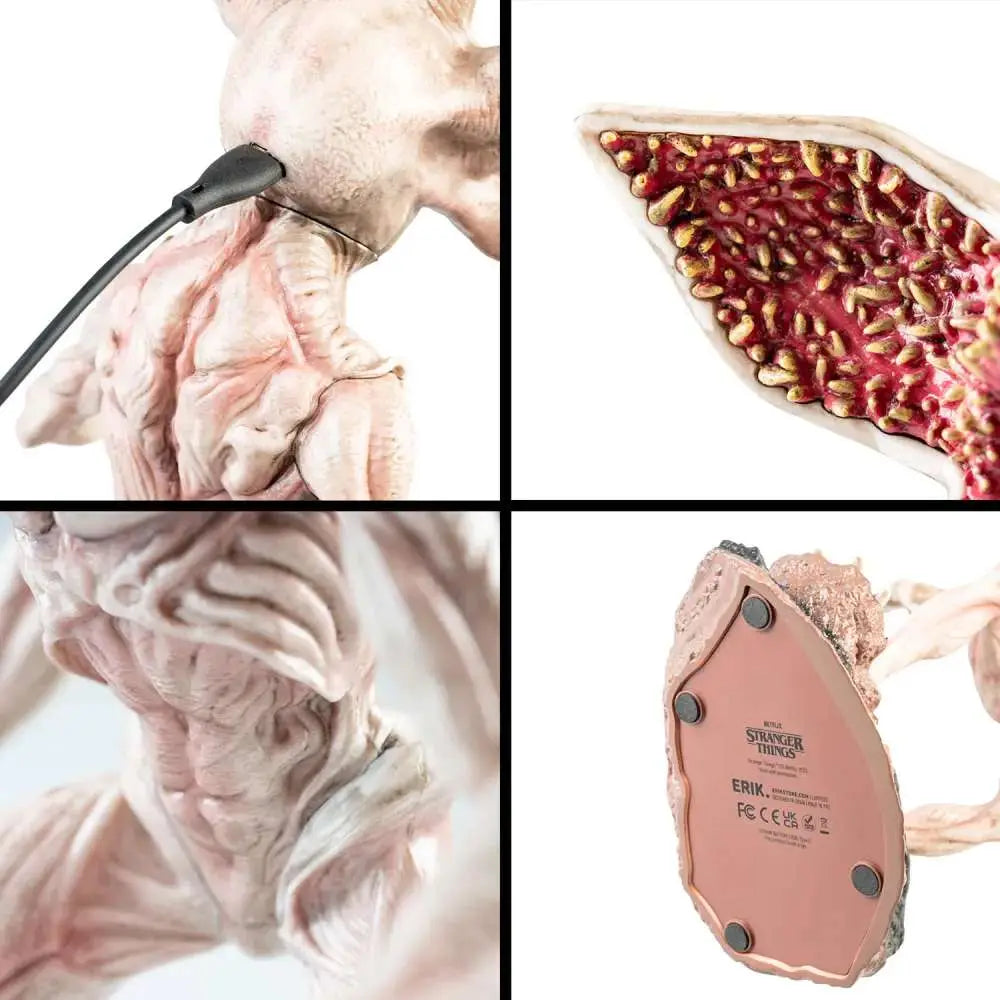 47807581