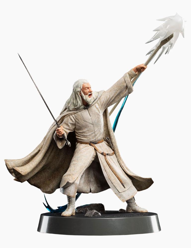 48755199
