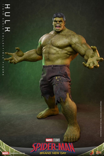 48741002
