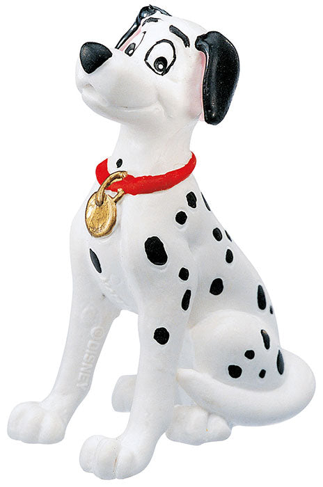 48293020