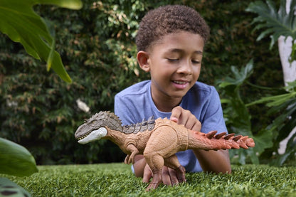 48425028