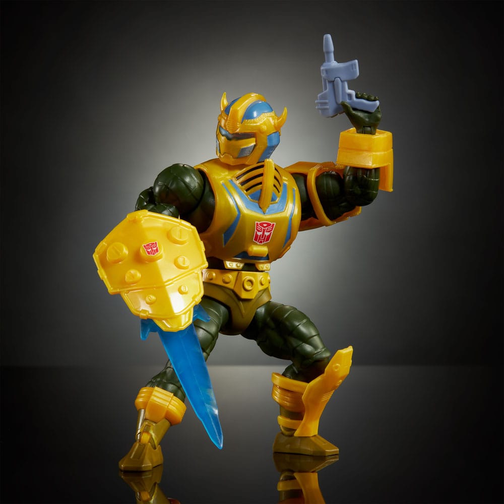 50404328