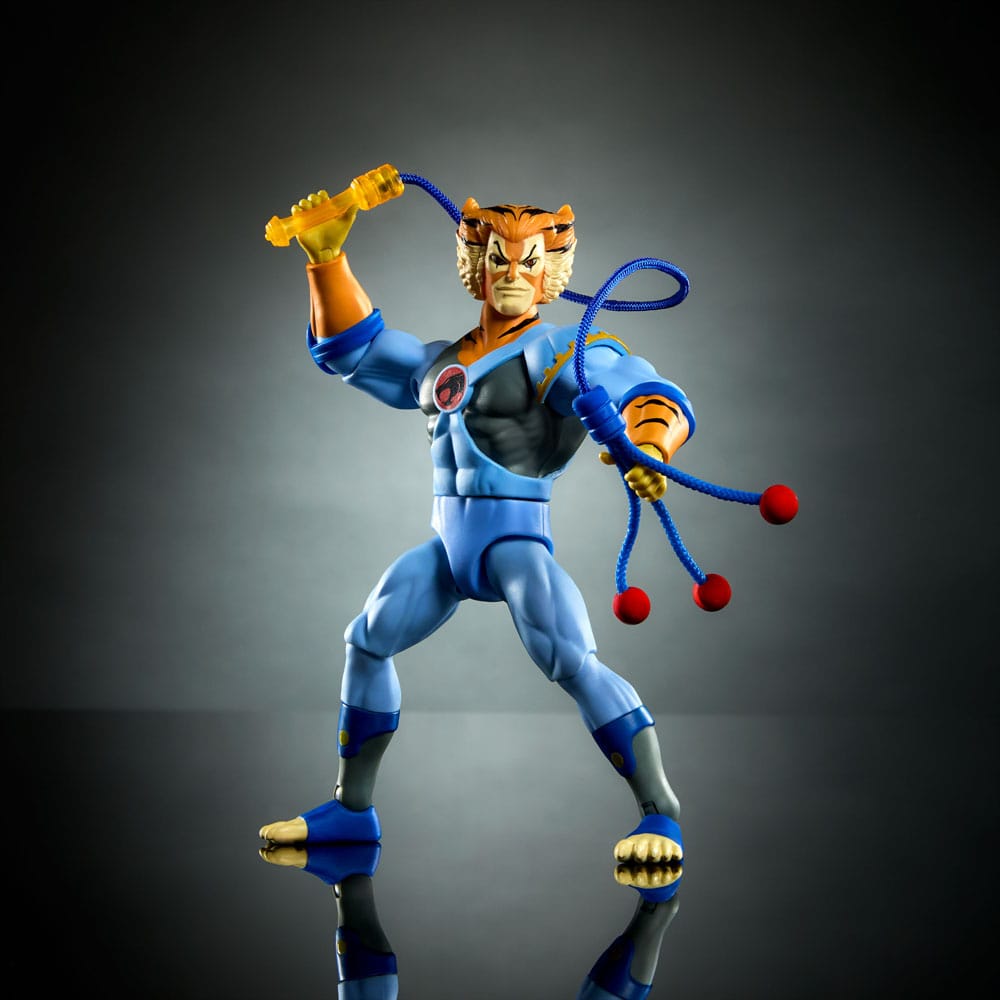 50404520