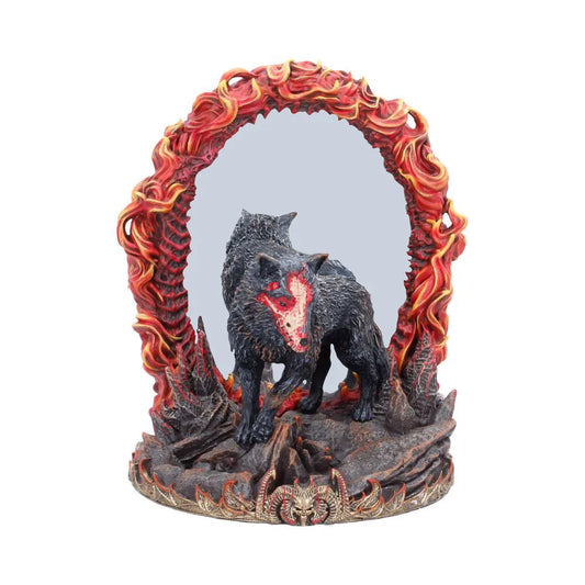 49120354