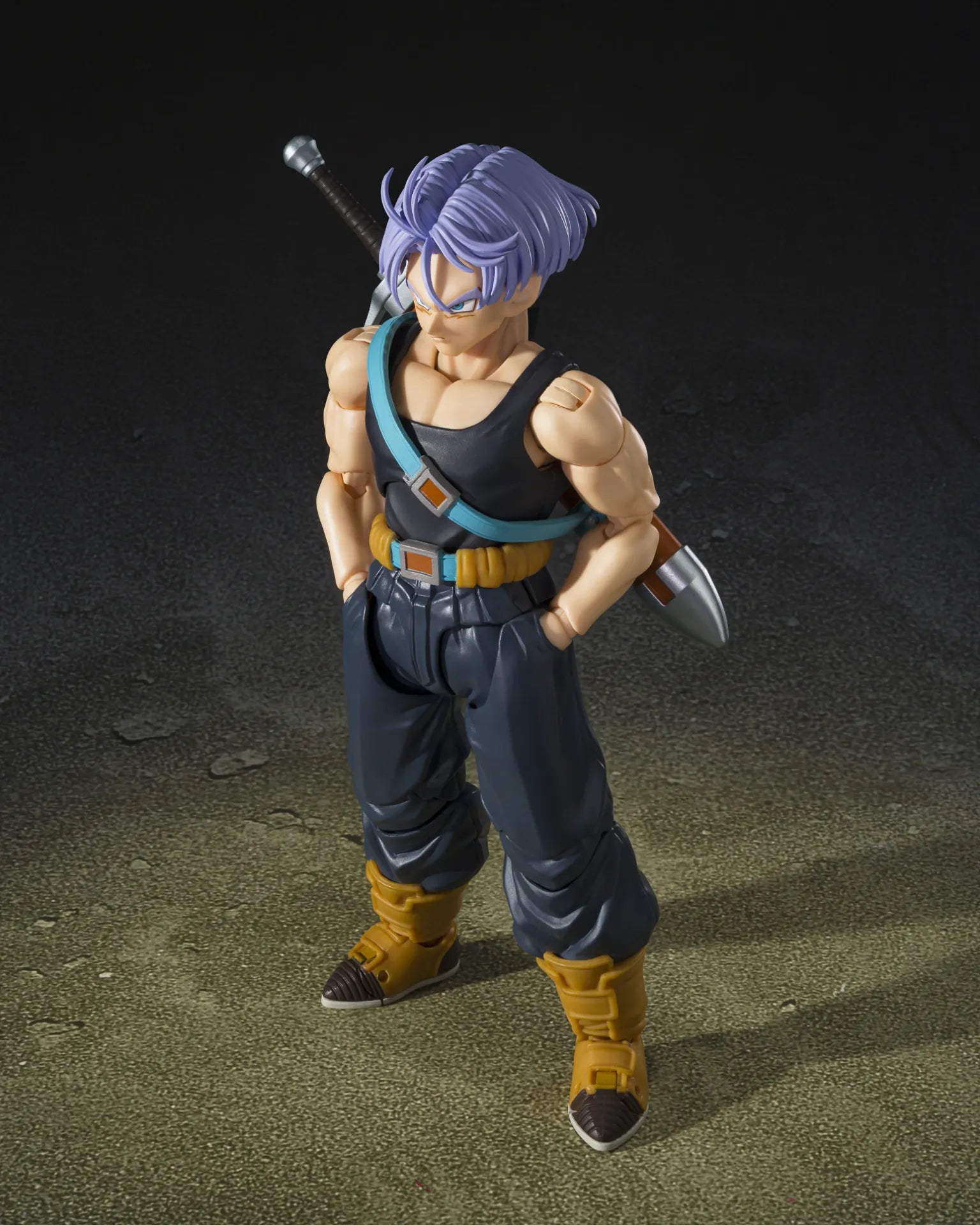 49120454