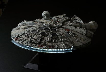 49028554