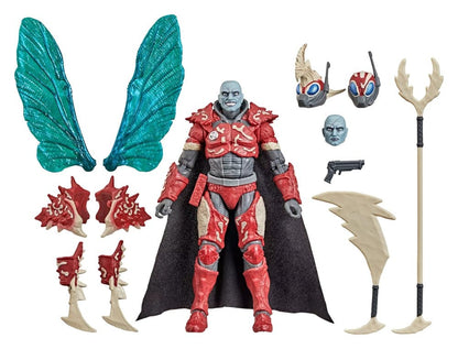 49021903