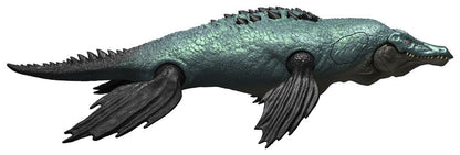 49022581