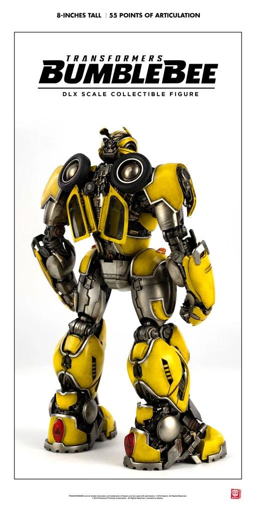 49015788