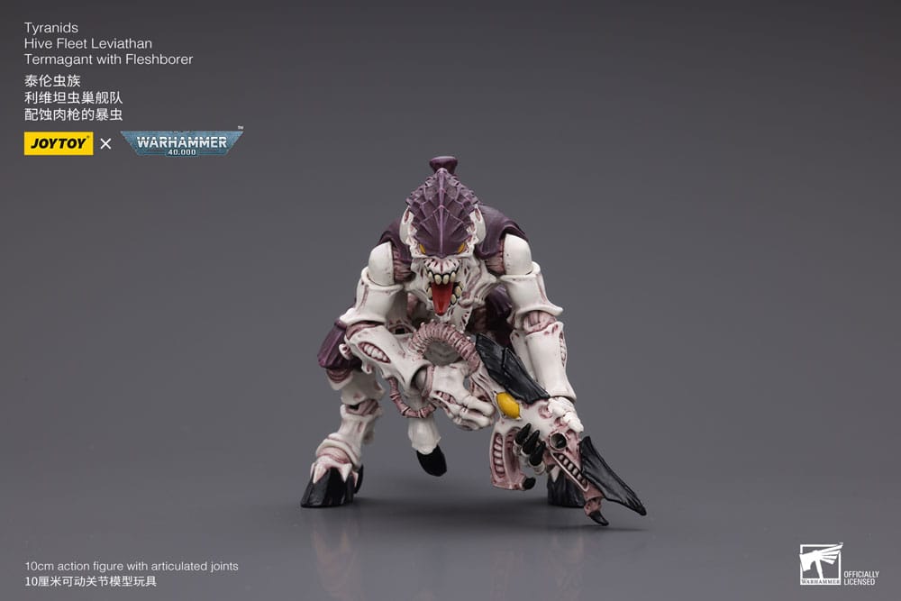 49016124